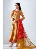 Peshwas paired with multi shaded organza dupatta